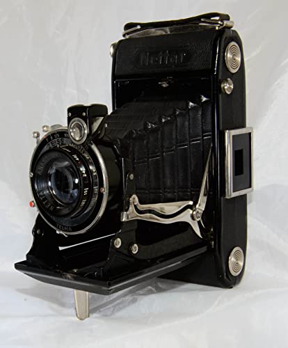 ZEISS IKON NETTER 120フィルム使用 フォールディングカメラ (515/2)