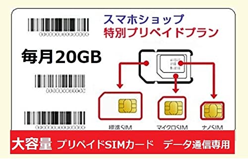 キャリア データSIM/格安SIMカード/プリペイド / [ データ通信専用SIM] prepaid DATASIM(20GBプラン, 12ヶ月,SIMのみ)
