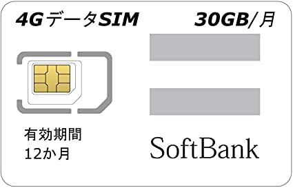 ソフトバンク プリペイド データ 通信 SIM カード 4G 高速 30GB/月 (12か月)