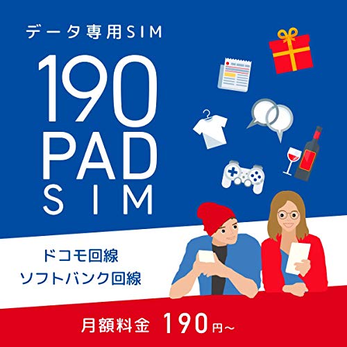 日本通信 b-mobile S 190PadSIM 申込パッケージ BM-PS2-P